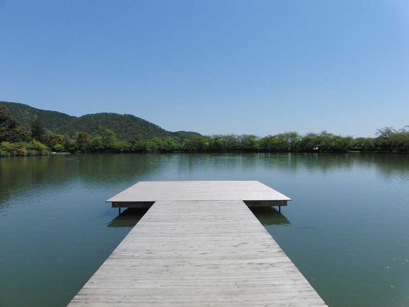Daikakuji Temple Lake, Osawa Pond, Kyoto.