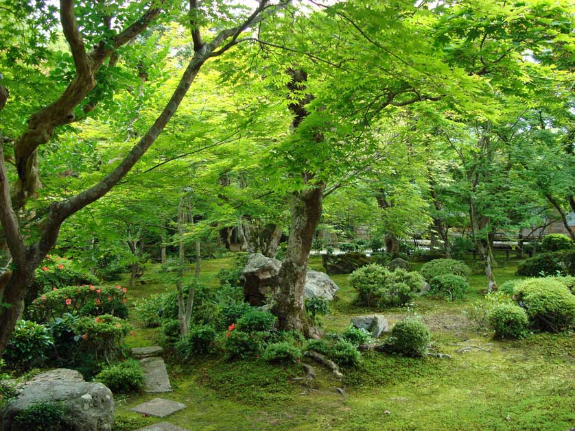 Enkoji Temple Garden, Kyoto, Japan.