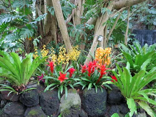 Flower Park, Kagoshima, Japan.