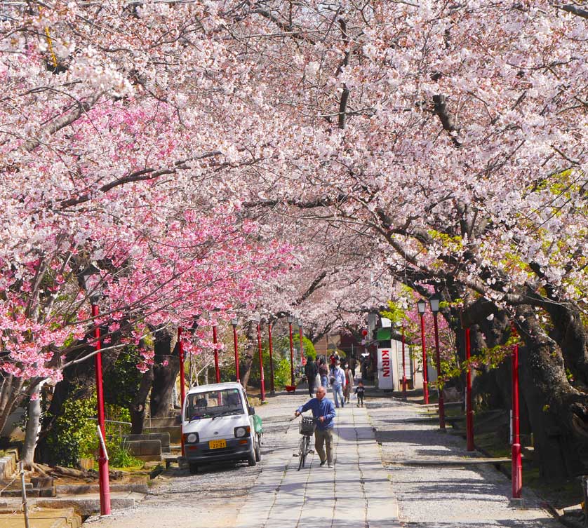 Street leading to Hokekyoji Temple.