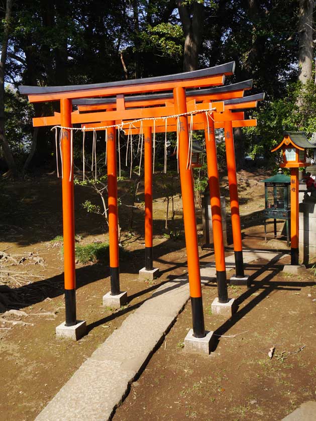Torii gates within the temple grounds.
