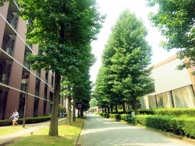 University in Japan