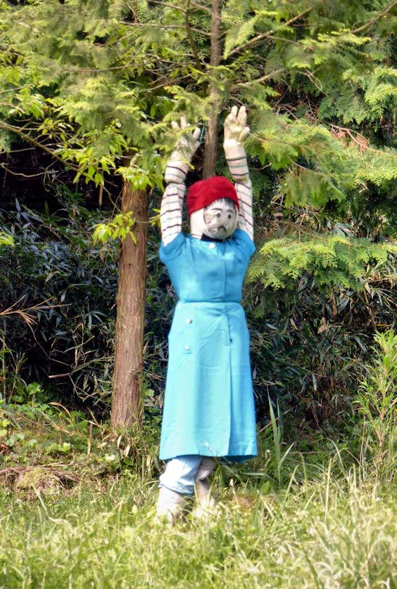 Scarecrows in Oita Prefecture, Kyushu.