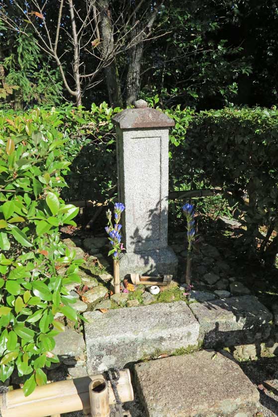 Joshoji Temple, Kyoto, Japan.