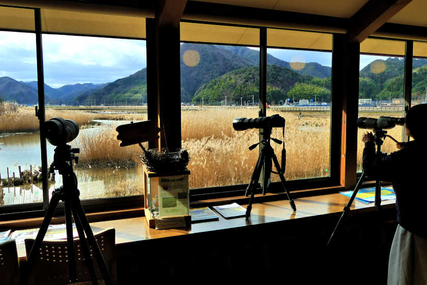Hachigoro Toshima Wetlands Bird Watching.