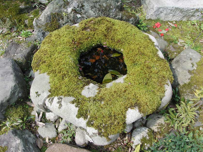 Kokedera, the moss temple, Kyoto.