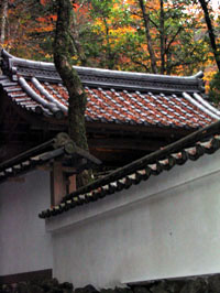 Kozanji Temple, Kyoto, Japan.