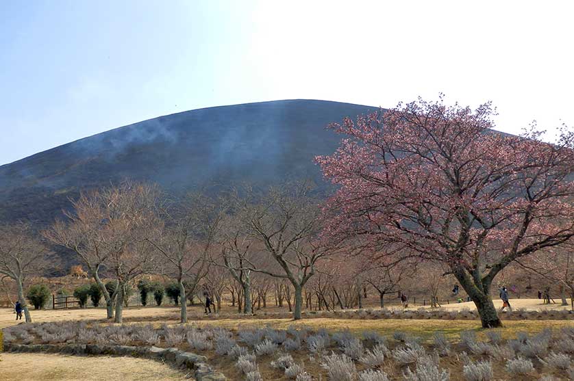 Mount Omuro Fire Festival, Izu.