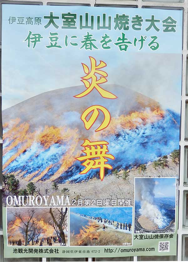 Yamayaki Matsuri, Mount Omuro Fire Festival, Izu.