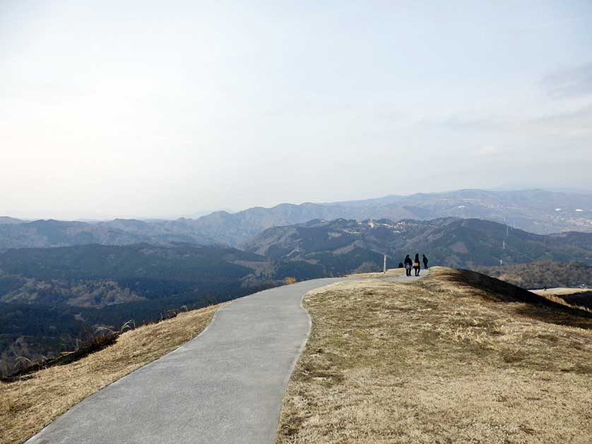 Mount Omuro, Izu.