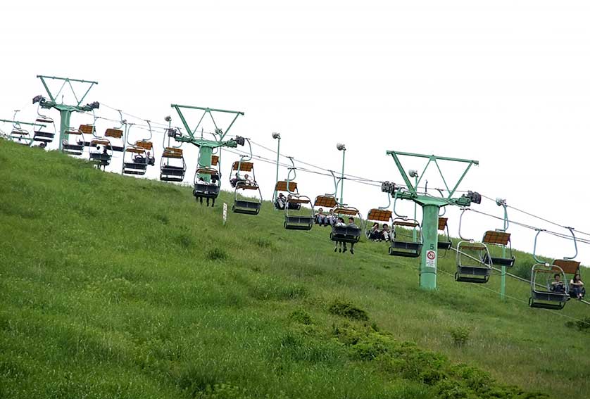 Mount Omuro, Izu.