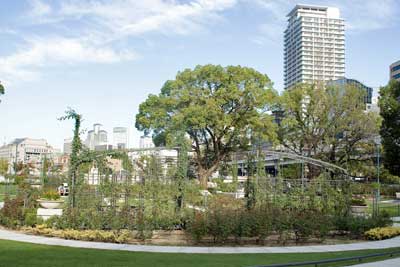 Nakanoshima Park, Osaka.