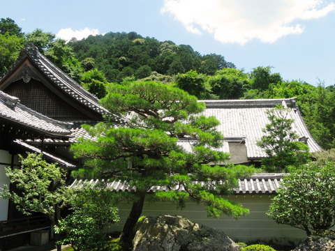 Nanzenji Temple in summer, Kyoto