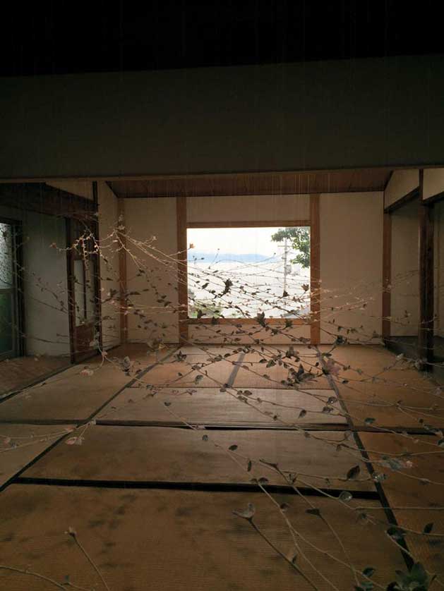 Sea Vine by Haruki Takahashi, Ogijima, Japan.