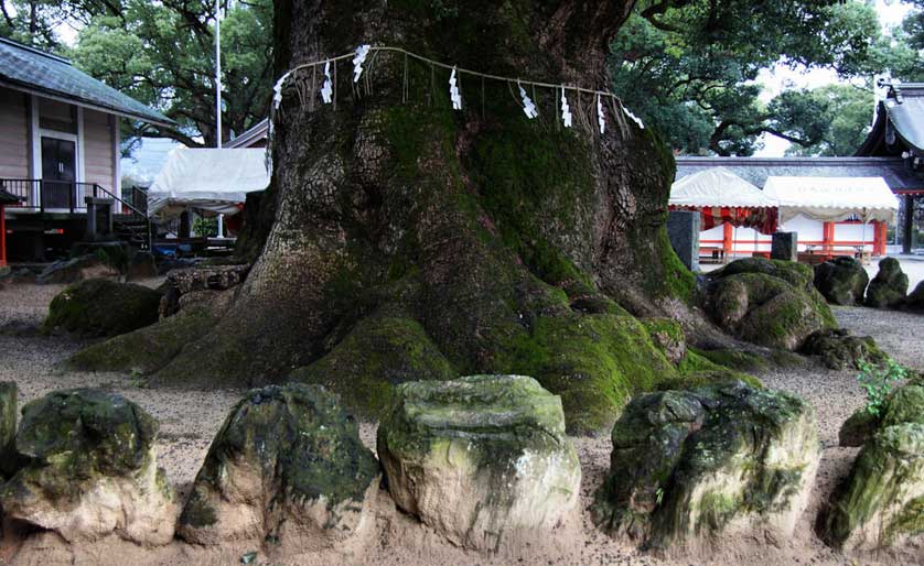 Umi Hachimangu Shrine.