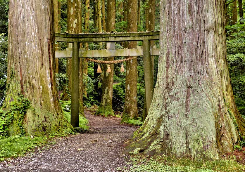 The entrance to Dangyo Shrine and waterfalls, Dogo, Oki Islands.