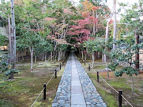 Rokuoin Temple, Arashiyama, Kyoto.