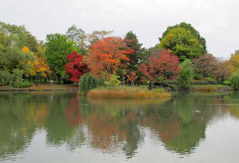 Shobu Pond, Nakajima Park, Sapporo.