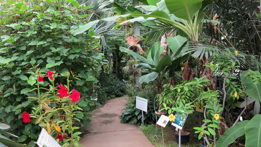 Tropical Rainforest House.