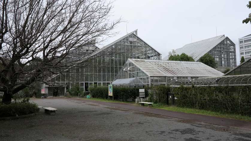 Glass houses within the Botanical Garden in Tsukuba.