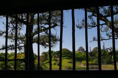 View of the garden from inside a out building 