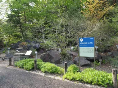 Highland Rockery area of the Tsukuba Botanical Garden