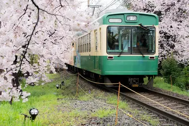 ... Or many other trains and buses all over Japan!