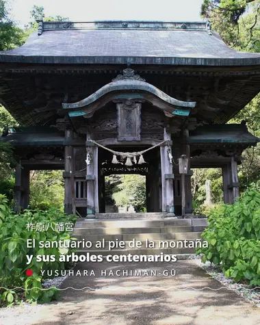 EL santuario al pie de la montaña 1 y sus arboles centenarios