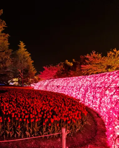 Illuminations au Nabana no Sato de Kuwana