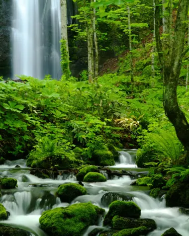 Gorges d'Oirase