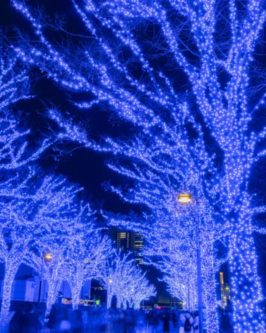 Illuminations du Shibuya blue cave 