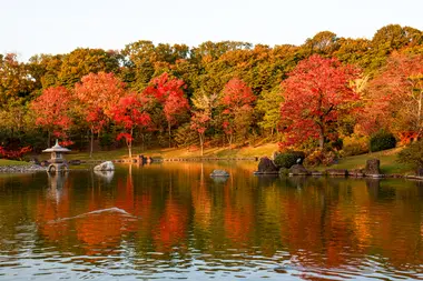 Shinji Pond at Expo'70 Commemorative Park