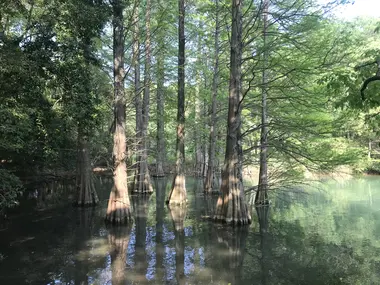 Kasuya Research Forest 