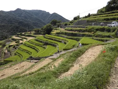 Senmaida on Shodoshima 