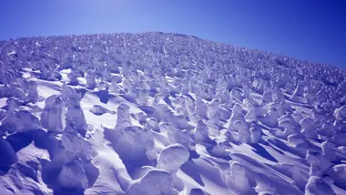 "Snow Monsters" at Zao Onsen