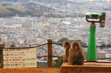 Arashiyama Monkey Park, Kyoto