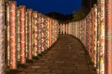 Kimono Forest at night, Kyoto