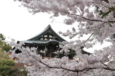 Chogosonshi-ji Temple on Mount Shigi, Nara Prefecture