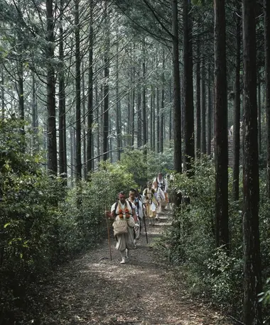 Des pèlerins arpentent les chemins sacrés de Kumano kodô.