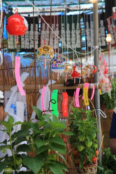 Furin and hozuki at the market