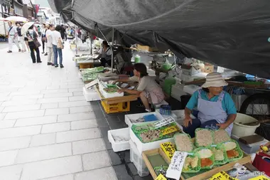 Wajima morning market