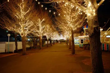 Parc de Toshimaen la nuit