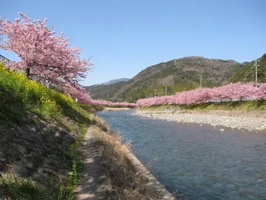 La rivière Kawazu