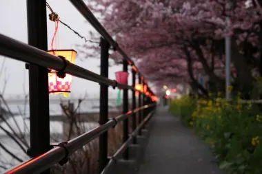 Lanternes le long de la rivière Kawazu