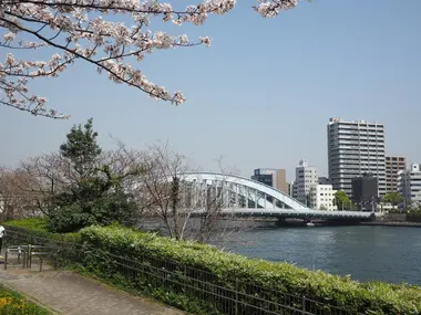 Les bords de rive de la rivière Sumida au printemps