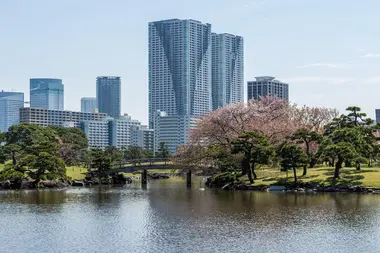 Hama-Rikyu et son bassin bordé de fleurs