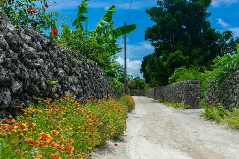 Il villaggio dell'isola di Taketomi, nell'arcipelago di Okinawa, è da esplorare in bicicletta oa piedi.