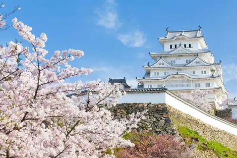 Castello di Himeji, patrimonio mondiale dell'UNESCO, facile accesso da Kyoto per un'escursione 