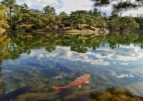 Le Ritsurin koen, jardin japonais de Takamatsu est un magnifique écrin de nature en pleine ville