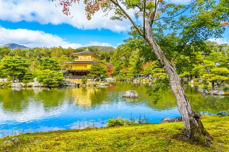 Le pavillon d'or à Kyoto, un incontournable à visiter dans l'ancienne capitale du Japon 